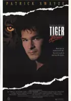 plakat filmu Tiger Warsaw