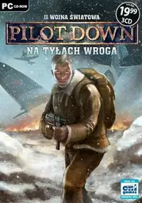 Plakat gry II Wojna Światowa: Pilot Down - Na Tyłach Wroga