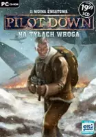 plakat gry II Wojna Światowa: Pilot Down - Na Tyłach Wroga