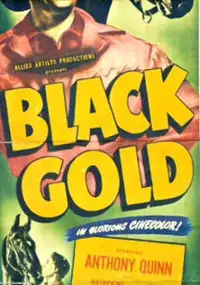 Plakat filmu Black Gold