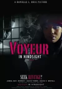 Plakat filmu Voyeur: In Hindsight