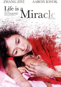 Plakat filmu Mo Shu Wai Zhuan
