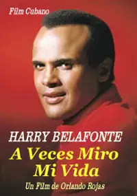 Plakat filmu A veces miro mi vida