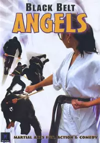 Plakat filmu Black Belt Angels