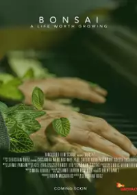 Plakat filmu Bonsai