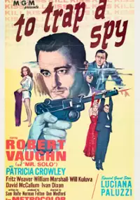 Plakat filmu Złapać szpiega