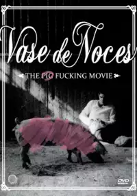 Plakat filmu Vase de noces