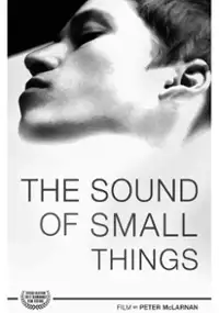Plakat filmu The Sound of Small Things