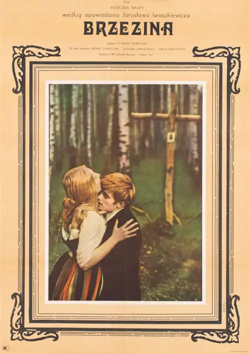 plakat filmu Brzezina