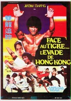 plakat filmu Bruce Lee's Dragons Fight Back