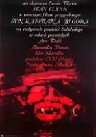 plakat filmu Syn kapitana Blooda