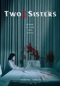 Plakat filmu Dwie siostry