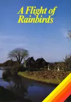 plakat filmu Een vlucht regenwulpen