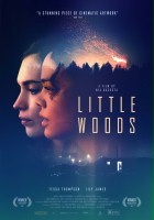 plakat filmu Little Woods