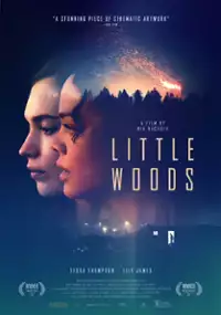 Plakat filmu Little Woods