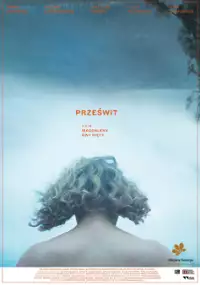 Plakat filmu Prześwit