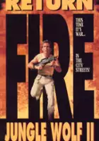 D.W. Landingham / Return Fire