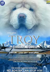 Plakat filmu Troy - Syn Bharata