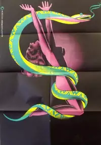 Plakat filmu Schleichendes Gift