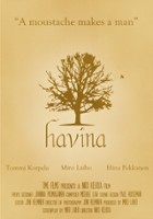 plakat filmu Havina