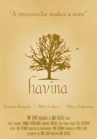 Plakat filmu Havina