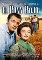 plakat filmu Kasztanek