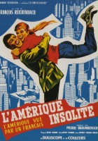 plakat filmu Ameryka oczyma Francuza