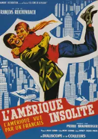 Plakat filmu Ameryka oczyma Francuza