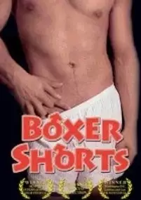 Plakat filmu Boychick