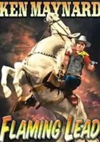 Plakat filmu Flaming Lead