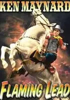 plakat filmu Flaming Lead