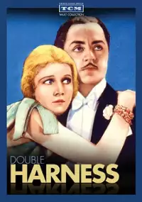Plakat filmu Double Harness