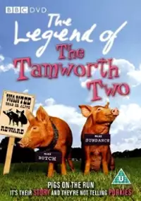 Plakat filmu Przygody dwójki z Tamworth