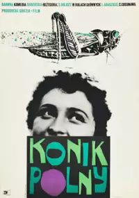 Plakat filmu Konik polny