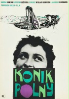 plakat filmu Konik polny