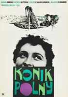 plakat filmu Konik polny