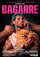 Julien Hollande / Bagarre