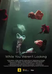 Plakat filmu While You Weren't Looking