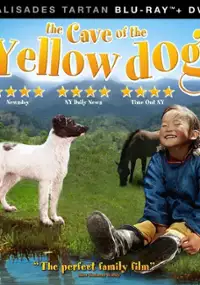Plakat filmu Jaskinia żołtego psa