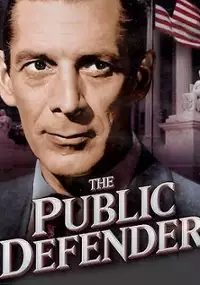 Plakat serialu The Public Defender