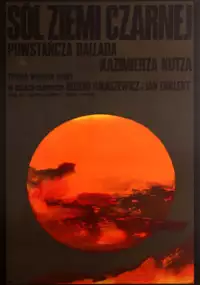 Plakat filmu S&oacute;l ziemi czarnej