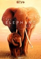 plakat filmu Królowa słoni