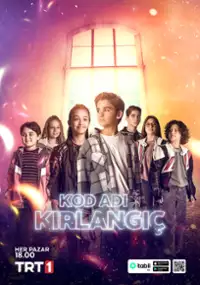 Plakat serialu Kod Adı Kırlangıç