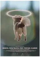 Panos Papadopoulos / Mikra pragmata pou pigan lathos