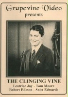 plakat filmu The Clinging Vine