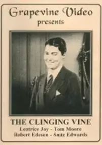 Plakat filmu The Clinging Vine