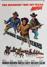 Plakat filmu Strzelby Teksasu
