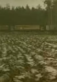 Plakat filmu Truck stop