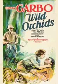 Plakat filmu Dzikie orchidee