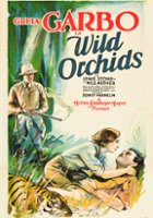 plakat filmu Dzikie orchidee
